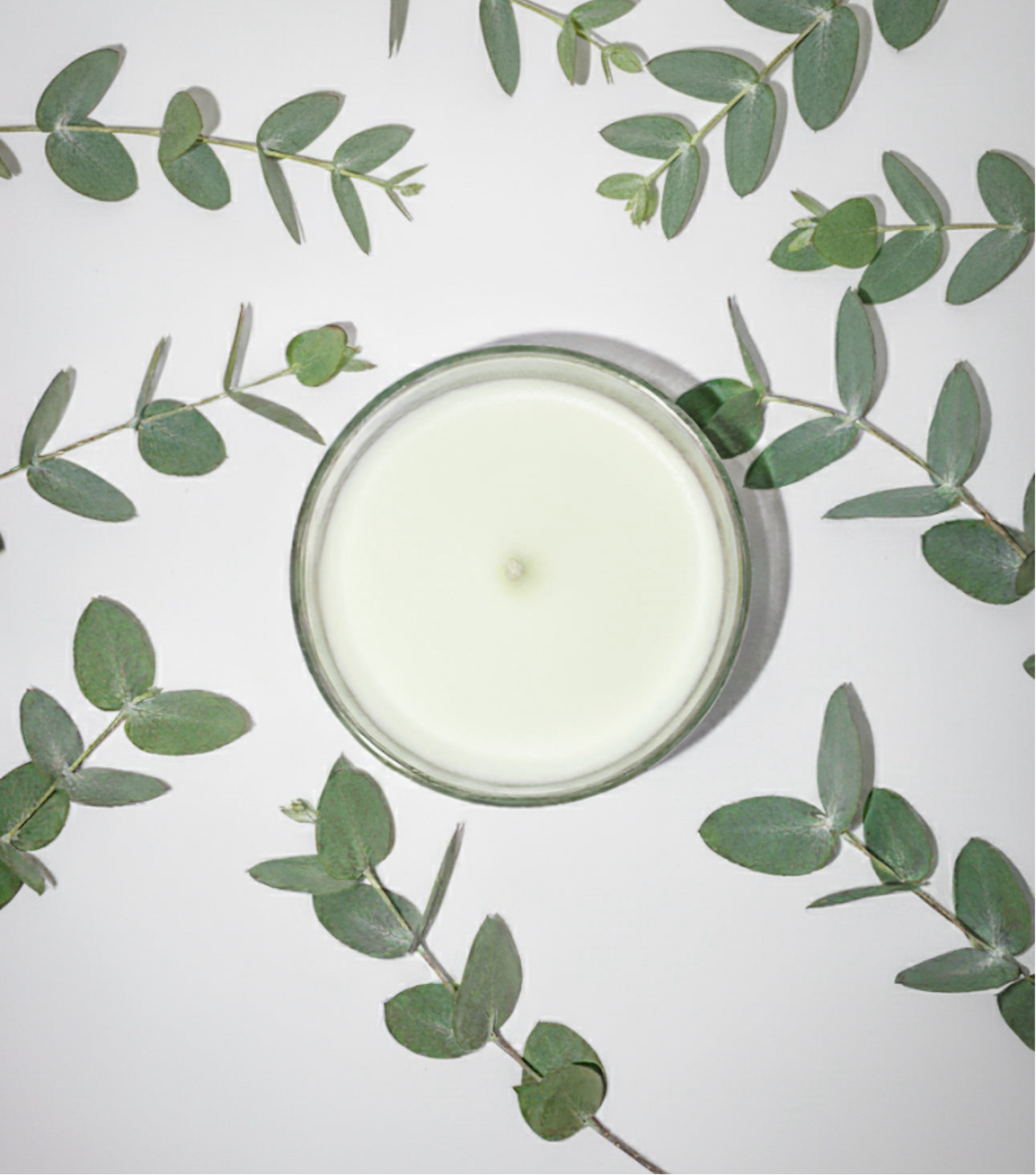 Peppermint Eucalyptus